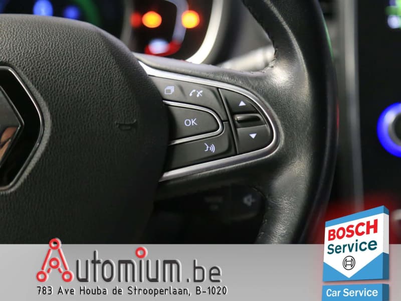 Renault Scenic 15