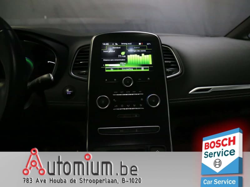 Renault Scenic 18